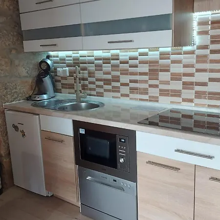 Tatil Evi Dama Brzac